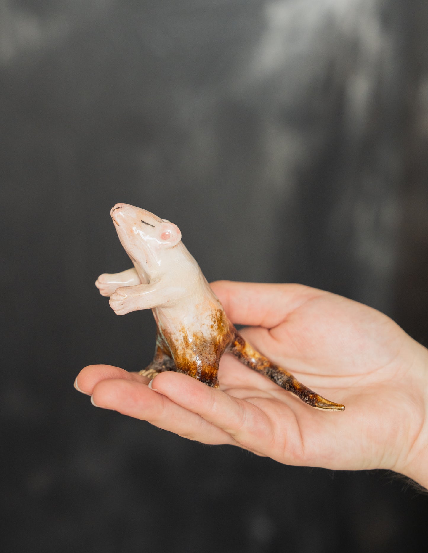 The Mud Mouse PREORDER