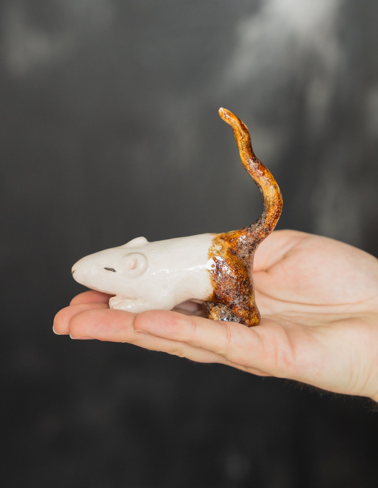 The Mud Mouse PREORDER