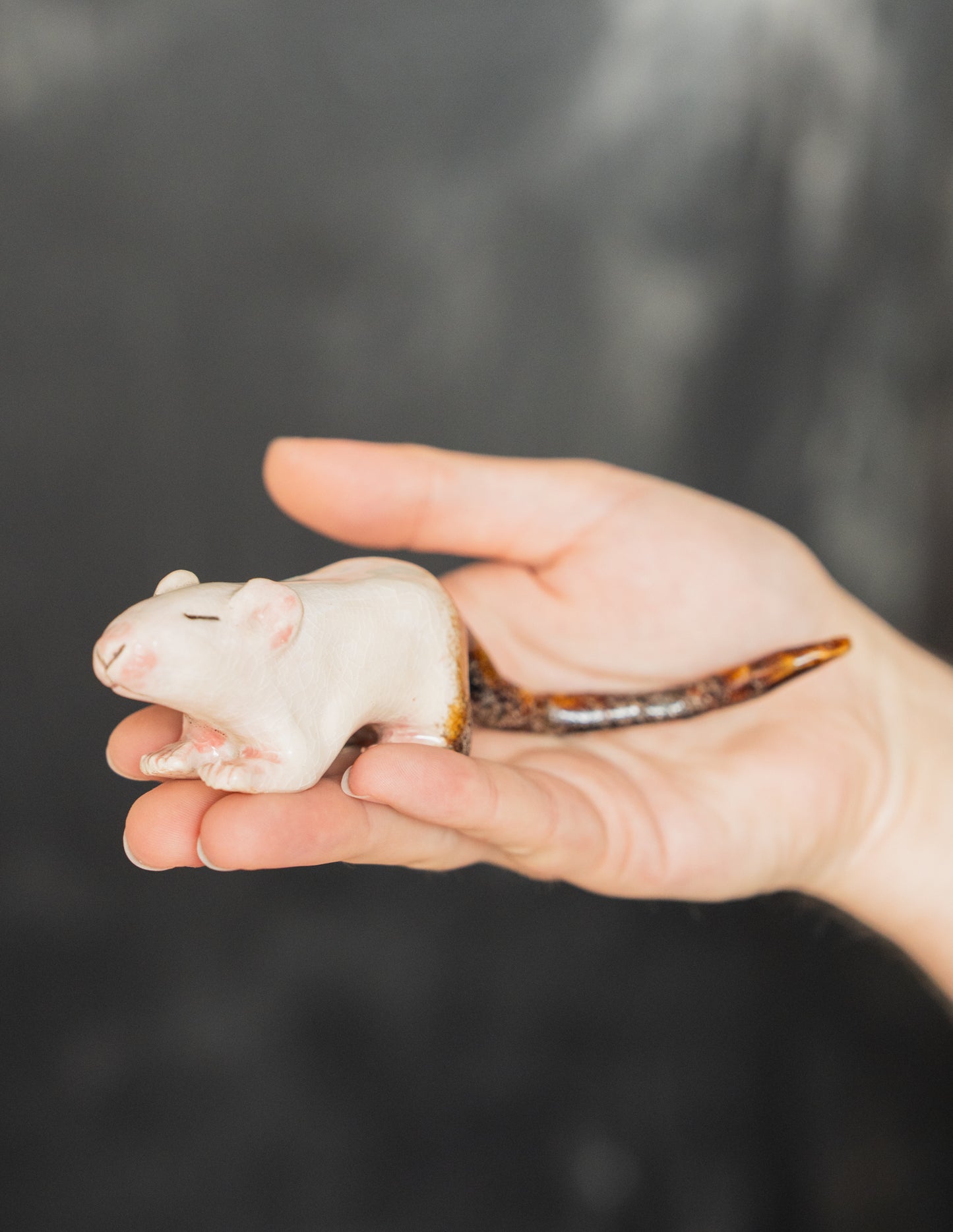 The Mud Mouse PREORDER