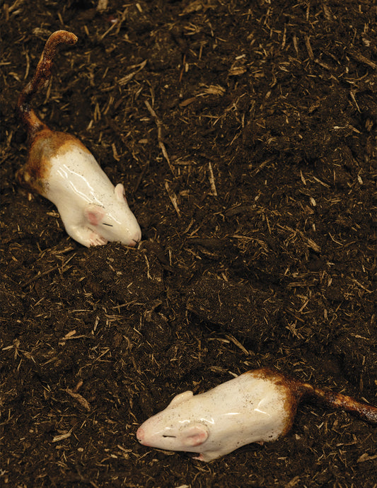 The Mud Mouse PREORDER