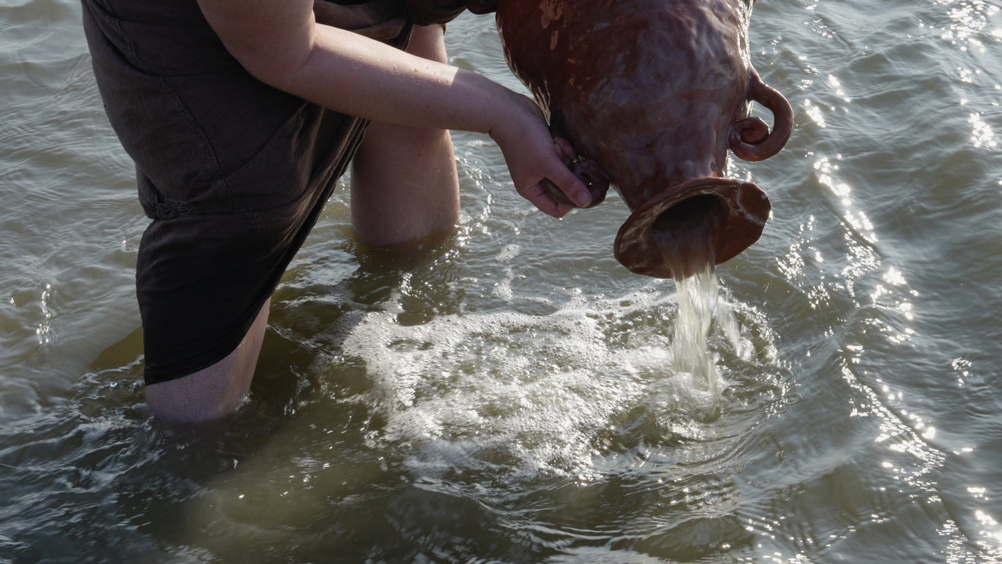 The Mikveh