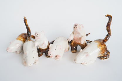 The Mud Mouse PREORDER