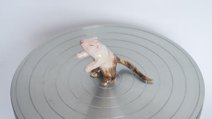 The Mud Mouse PREORDER